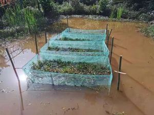 Cage de stockage pour poissons et crevettes en nylon HDPE à ultra-haute densité Cage à poissons d'aquaculture de taille personnalisable - Product Image 4