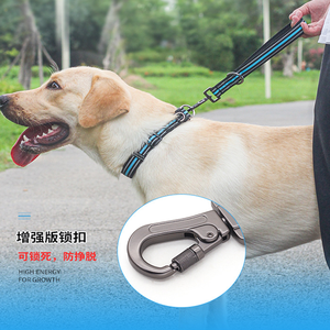 Zinc Alloy Swivel <strong>Eye</strong> Snap <strong>Hook</strong> for Dog Leashes - Product Image 3