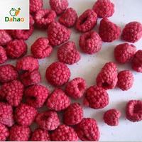 Frambuesas Liofilizadas Enteras Orgánicas al por Mayor de Fábrica, Snack Instantáneo Crujiente de Frambuesas Secas FD, 1kg, Ácido y Dulce, Sin Azúcar