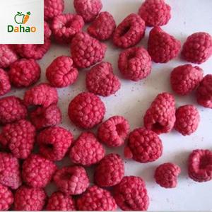 Vente en gros usine Framboises lyophilisées entières bio, croustillantes, collation instantanée 1kg, acidulées et sucrées, <span class=keywords><strong>sans</strong></span> <span class=keywords><strong>sucre</strong></span> ajouté - Product Image 3