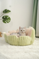 Lit pour animaux de compagnie au design cactus, luxueux, en peluche moelleuse, en forme de beignet, écologique, chaud et doux, taille chaton, accessoires pour chat, grande taille 60 cm