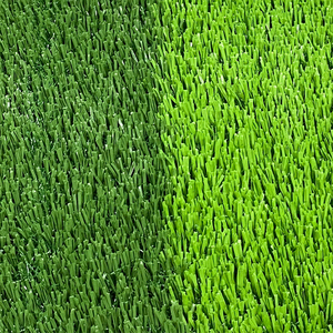 TY Terrain de Football <span class=keywords><strong>Gazon</strong></span> <span class=keywords><strong>Artificiel</strong></span> À Vendre Sol de Sport <span class=keywords><strong>Pas</strong></span> <span class=keywords><strong>Cher</strong></span> Football <span class=keywords><strong>Gazon</strong></span> <span class=keywords><strong>Artificiel</strong></span> - Product Image 4