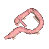 Modèle d'entraînement à la coloscopie Surgese ES002-S1 en matériau bionique de qualité médicale, anatomie complète du côlon, appendice, côlon ascendant, côlon transversal