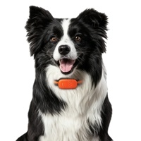 Traceur GPS étanche en plastique pour chiens et chats avec suivi en temps réel AGPS/GSM 4G 2026