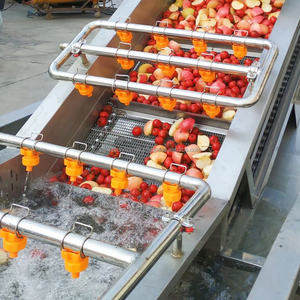 เครื่องล้างผลไม้ขนาดเล็กเครื่องล้างผลไม้ขนาดเล็กระบบโอโซนถังคู่ทำจากสเตนเลสสตีล304 - Product Image 1