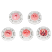 Modèle d'examen gynécologique féminin avec col interchangeable, simulateur de silicium, modèle d'enseignement