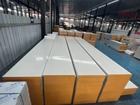 Paneles Sándwich de Oxisulfato de Magnesio de Alta Resistencia Impermeables, Clase Ignífuga, Ecológicos y Modernos para Talleres de Purificación