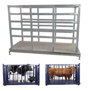 Full Automatic Halal Cow Slaughterhouse Equipment Bovine Weight Scale Cattle Abattoir Silver Provided Multi-function Uzbekistan