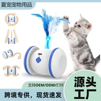 Nouvelle balle lumineuse LED pour chat, rechargeable par USB, jouet intelligent pour animaux de compagnie