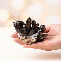 Vente en gros de cristaux naturels de haute qualité, pierres de guérison, grappe de quartz fumé, grappe de cristal noir brut pour collection et cadeaux
