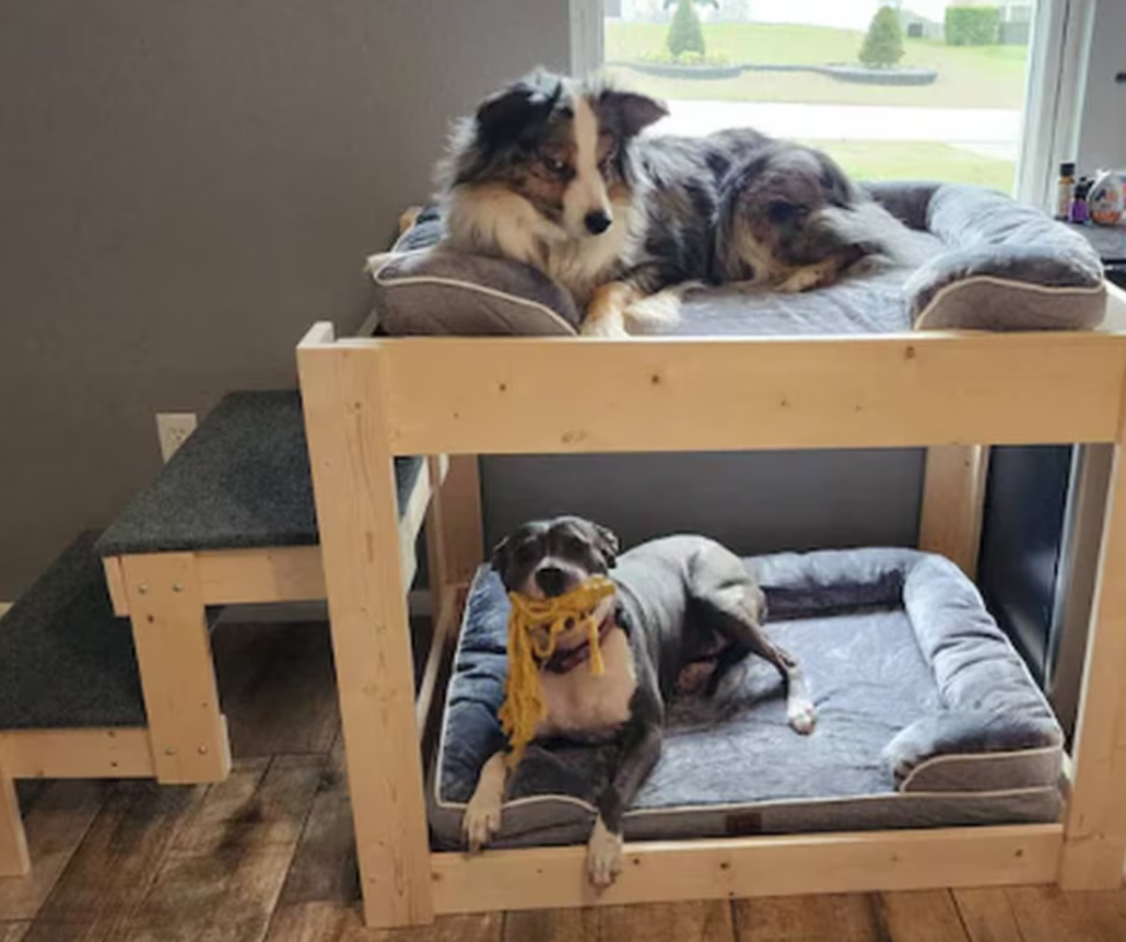 Kuranda Dog Bunk Bed Dog Bunk Bed Dog Bed For Two Dogs Walnut Dog