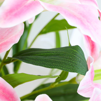 Großhandel 73cm Lange Stiele Seiden-Kunstlilien mit 4 Blüten, Lilium-Blumen für Hochzeits-Tischdekoration, Heim-Vasen und Blumendekoration