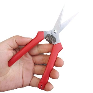 กรรไกรตัดแต่งกิ่งไม้พุ่มวิสทีเรีย ใบมีดสแตนเลส ปากตรง ด้ามจับสีแดง แบบบายพาส เครื่องมือทำสวน - Product Image 1