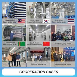 Máquina de Liofilização de Alimentos Saudáveis 2025, Liofilizador, Linha de Produção de <span class=keywords><strong>Durian</strong></span> Liofilizado - Product Image 3