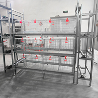 Nouvelle cage à poulets à 4 niveaux de type H, à haute efficacité, pour usage commercial, cage à volailles empilée, cage à poulets en acier galvanisé, système d'élevage en ferme