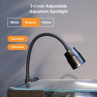 Aquarium de récif moderne avec éclairage LED, configuration complète, personnalisation OEM ODM en gros