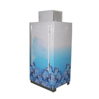 Petit bac à glace commercial à porte simple - Refroidissement direct - Classe énergétique 5 étoiles - Coffre de stockage de glace compact pour restaurant et bar