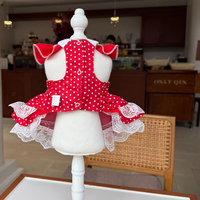 Robe pour petit chien style princesse, jupe en dentelle pour animaux de compagnie, vêtements d'été respirants pour chiots, pour Pomeranian et Yorkshire