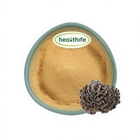 Poudre de Grifola Frondosa Healthife USA Warehouse, Polysaccharides 30%, Extrait de Champignon Maitake