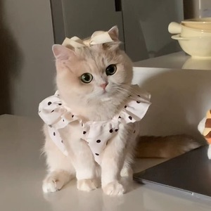 Pet Spring/Summer Thin Polka Dot Sundress, Korean Style, Simple <b>Cat</b> <b>Clothes</b>, Anti-Shedding, for Bichon Frises and Teddy Bears - Product Image 3