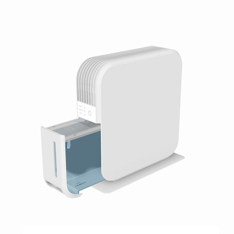 dehumidifiers for basement