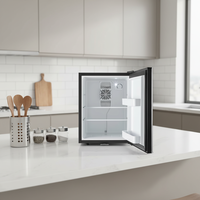 Réfrigérateur Vitrine Professionnel 40L pour Clinique Médicale et Boissons – Mini Frigo Classique de Qualité Professionnelle