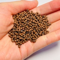 1000 pièces de perles nano pour extensions de cheveux, 3,0 mm x 1,5 mm x 2 mm, anneaux micro-liens en cuivre doublés de silicone