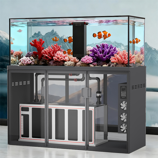 Marine Aquarium Saltwater Fish Tank Reef Tank Factory Custom Glass Large Seawater Aquarium Glass Reef for Saltwater Fish