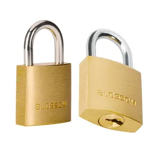 BC16 20MM Candado Custom Lock Top Security Pad Lock lucchetti di alta sicurezza con chiave allo stesso modo piccolo Mini lucchetto in ottone rame economico