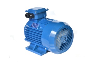 มอเตอร์เครื่องกัดแบบสามเฟส 40 แรงม้า 30 กิโลวัตต์ 2 โพล แบบเหนี่ยวนำ - Product Image 1
