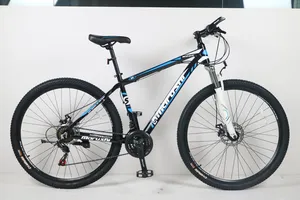 Popular Design 29'' Professional Double Disc Brake Firm Mountain Bike Bicycle MTB