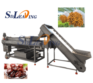 Ligne de nettoyage et de séchage de jujubes Medjool Barhee, machine de lavage et de tri de dattes de palmier - Product Image 6