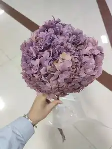 2022 Ins Popular Release Green Preserved Big Leaf Hydrangeas Preserved Hydrangea Flowers For Wedding Decoration