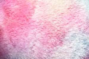 Cueva cálida y acogedora para mascotas, tienda de campaña con arcoíris para interior, nido para cachorro, para invierno - Product Image 3