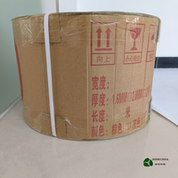 Rouleau de rideau en bande PVC transparente Jin Shi, coupe-vent, pour entrepôt frigorifique, rideau de porte en plastique, matière première, découpe sur mesure