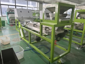 Belt Sorter <strong>Machine</strong> To <strong>Sort</strong> Unpeeled <strong>Garlic</strong> And <strong>Sorting</strong> Unpeeled Black Spots <strong>Garlic</strong> In <strong>Garlic</strong> Cleaning And Processing Line - Product Image 6