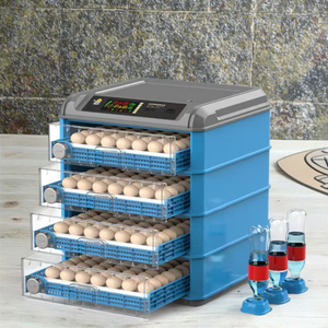 En Oferta: Incubadora Pequeña para 500 Huevos, Máquina Automática para Incubar, Precio de Fábrica, Fuente de Alimentación Dual 220v+12v - Product Image 2