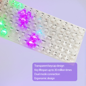 Tùy Chỉnh 100 Phím Đầy Màu Sắc Trong Suốt Ánh Sáng Chơi Game Bàn Phím Cơ Khí Dual-Chế Độ Không Dây <span class=keywords><strong>USB</strong></span> Chống Bóng - Product Image 5
