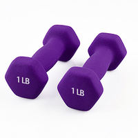 Ensembles de poids de main hexagonaux en néoprène et vinyle, 2LB, 3LB, 5LB, 8LB, 10LB, pour le sport