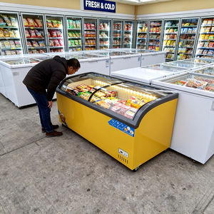 Congélateur horizontal commercial -18°C avec portes vitrées, refroidissement par <span class=keywords><strong>ventilateur</strong></span>/direct/statique, serrure intégrée, pour glaces et viandes fraîches - Product Image 5