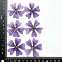 Tanaman alami bunga kering, ungu Hollyhock kuncup bunga, spesimen tanaman bingkai foto bookmark lampu meja DIY Resin tetes
