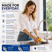 Robinet de cuisine à eau froide brossé, rotation à 360 degrés, mitigeur monocommande pour évier, montage sur plan, style moderne