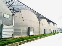 ZHUOTAI Bâche en film plastique multi-chapelles sur mesure, anti-goutte et anti-buée, pour serres de culture commerciale de fruits en Chine