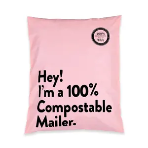 Sacchetto di spedizione in plastica stampato su misura imballaggio biodegradabile spedizione poli sacchetto per i vestiti