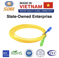 Kabel Patch Fiber Single Mode G652D LC UPC/APC Pigtail 0.9mm untuk Kabel Komunikasi FTTH/FTTB/FTTX/CATV 3m Jaringan Dalam Ruangan FTTH