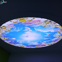 Diseño de Techo de Placas de Yeso Ignífugas con Motivo Floral Cielo Azul para Sala de Exhibición de Joyería en Ghana