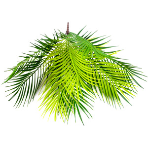 نباتات نخيل اصطناعية رخيصة، أوراق خضراء، شجيرات بلاستيكية، سيقان سرخس، نباتات نخيل واقعية بطول 53 سم - Product Image 5