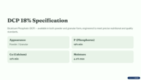 DCP 18% Phosphate d'hydrogène de calcium, poudre blanche et granulé, qualité alimentaire, additif alimentaire pour animaux, certifié ISO-9001