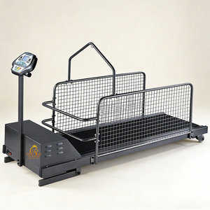 Cinta de correr <span class=keywords><strong>para</strong></span> mascotas de alta resistencia personalizable al por mayor EUR PET, carga máxima de 100 kg <span class=keywords><strong>para</strong></span> peluquería y rehabilitación canina - Product Image 5
