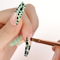 Pinceau à ongles avec logo personnalisé, 100% poils de Kolinsky, manche multicolore avec strass, ensemble professionnel de 5 pinceaux pour le nail art et le gel UV